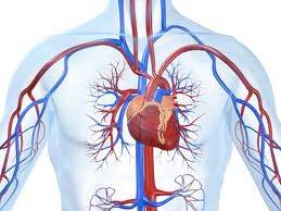 Cardiologysite.com